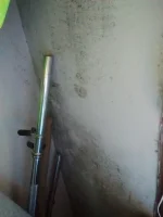 Mould on ext walls