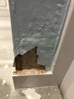 Damp issue