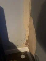 Internal insulation for bedrooms with Solid Brick Walls