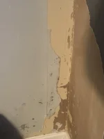 Internal insulation for bedrooms with Solid Brick Walls