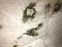 Possible cause of damp? Possible cause of damp?
