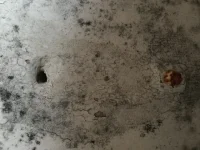 Possible cause of damp?