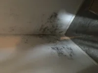 Possible cause of damp? Possible cause of damp?