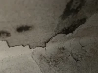 Possible cause of damp? Possible cause of damp?