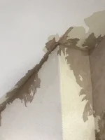 Damp on the internal walls where chimney breast