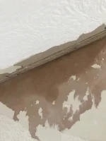 Damp on the internal walls where chimney breast