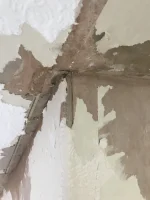 Damp on the internal walls where chimney breast