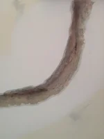 Deep cracks in plaster