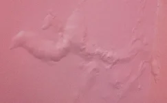 Salt in plaster