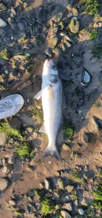 Start of the Fishing Season