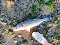 Start of the Fishing Season