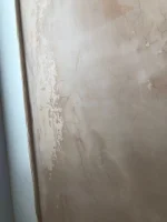 Would I be right to ask for this to be reskimmed?