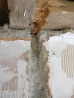 Plasterer or Roofer?