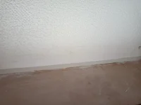 Skim over artex ceiling