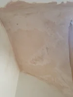 Plastered winders under stairs not drying properly Plastered winders under stairs not drying properly