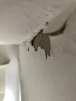 What is this material?