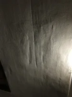 Plastering advice please