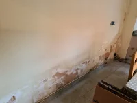 Kitchen Damp