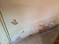 Kitchen Damp