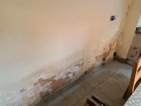 Kitchen Damp