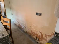 Kitchen Damp