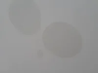 Damp random circles appearing on wall (Photos)