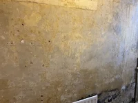 Plaster type and best products