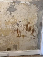 Plaster type and best products