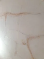 Mesh or skim ?
