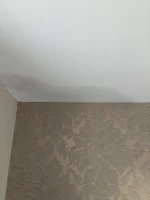 Damp in celling