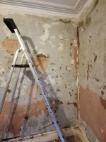 Cob lime and gypsum mess