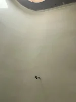 Curved walls