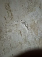 Getting 1930’s house replastered