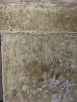 Getting 1930’s house replastered