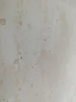 Please help