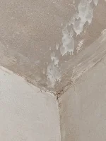 Plasterer issues, advice?