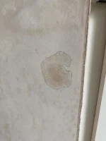 Damp proofing failed?