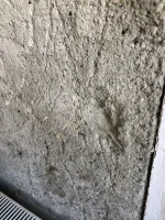 External wall, lime, thermal plaster board, sand and cement…help