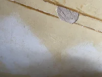 Replastering of Hallway Walls
