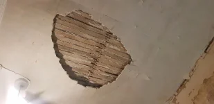 Limelite renovating plaster for ceiling?