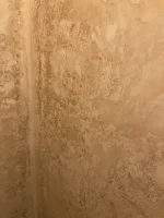 Blotchy plaster - need help!