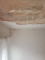 Is anyone interested in plastering a small ceiling?