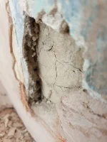 How to fix this crack?