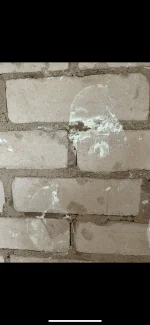 01E9E2F3-3ED3-4B89-A272-9D8E0CE5F268.png