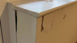 Damaged Sand & Cement Repair Questions