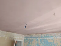 IMG_20200921_140333.jpg