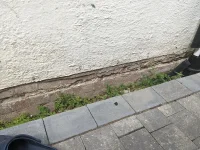 1940s solid brick dpc too low to external ground level, tanking options?
