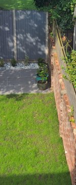 Rendering a garden boundary wall