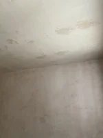 Unsure if ready for mist coat?