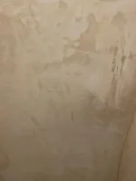 Opinions please